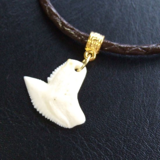 イタチザメ（タイガーシャーク）の歯チョーカー 2.5 cm - 20361zhb