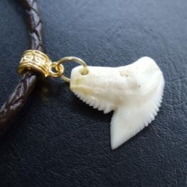 イタチザメ（タイガーシャーク）の歯チョーカー 2.5 cm - 20361zhb