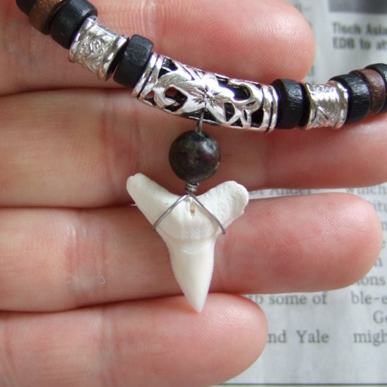 【現品】オオメジロザメの歯ウッドビーズネックレス 2.3 cm - 20365zhb