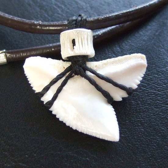 【表示現品】」イタチザメ（タイガーシャーク）の歯チョーカー 2.8 cm - 20372zhb