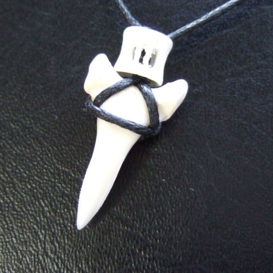 メジロザメの歯 サメの歯ネックレス（約2.4cm） - 20408zhb