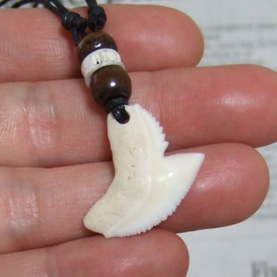 【表示現品】」イタチザメ（タイガーシャーク）の歯ペンダント 2.6 cm - 20436zhb
