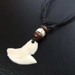 【表示現品】」イタチザメ（タイガーシャーク）の歯ペンダント 2.6 cm - 20436zhb