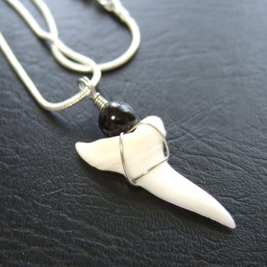 【表示現品】アオザメの歯ペンダント2.8cm - 20448zhc