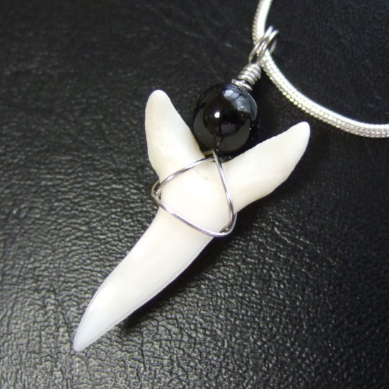 【表示現品】アオザメの歯ペンダント2.8cm - 20448zhc