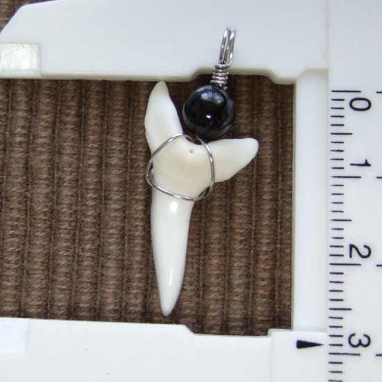 【表示現品】アオザメの歯ペンダント2.8cm - 20448zhc