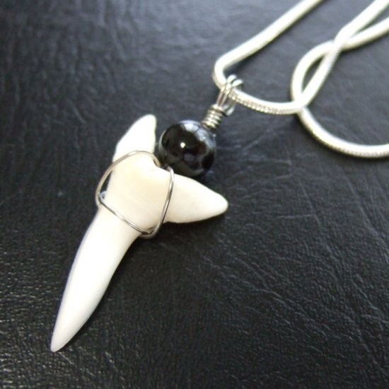 【表示現品】アオザメの歯ペンダント2.8cm - 20448zhc