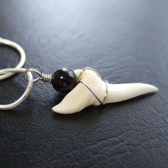 【表示現品】アオザメの歯ペンダント2.8cm - 20448zhc