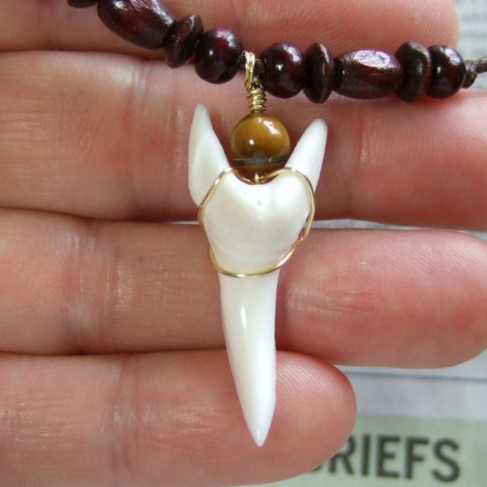 【表示現品】アオザメの歯（約3.7cm）ネックレス - 20585zhb