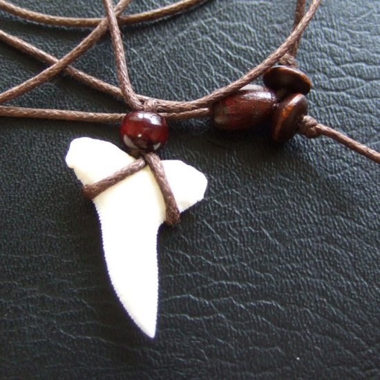 【表示現品】2.5cm ヨシキリザメのの歯ペンダント - 20595zhb