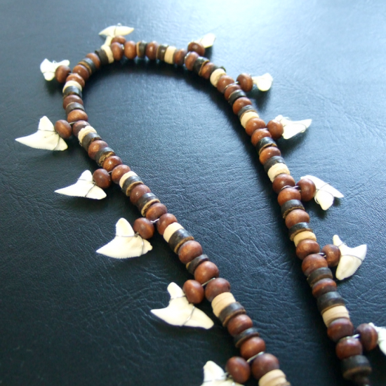 本物のサメの歯ネックレス - 20601esw