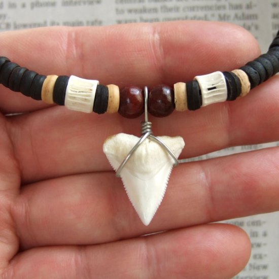 オオメジロザメ（ Bull shark ）の歯チョーカー - 20616zhb