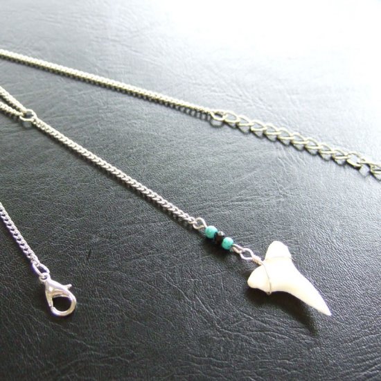 ブルーシャーク（ヨシキリザメ）の歯 チェーンネックレス - 20665zyb