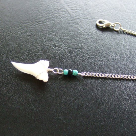 ブルーシャーク（ヨシキリザメ）の歯 チェーンネックレス - 20665zyb