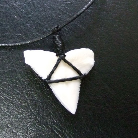 【表示現品】オオメジロザメの歯コードネックレス（上あごの歯・大） - 20706zhb