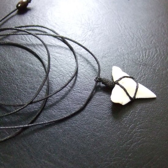 【表示現品】オオメジロザメの歯コードネックレス（上あごの歯・大） - 20706zhb