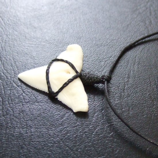 【表示現品】オオメジロザメの歯コードネックレス（上あごの歯・大） - 20706zhb