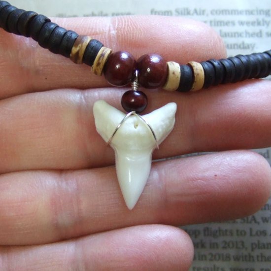 オオメジロザメの歯（下・大）　ビーズチョーカー - 20719zhb