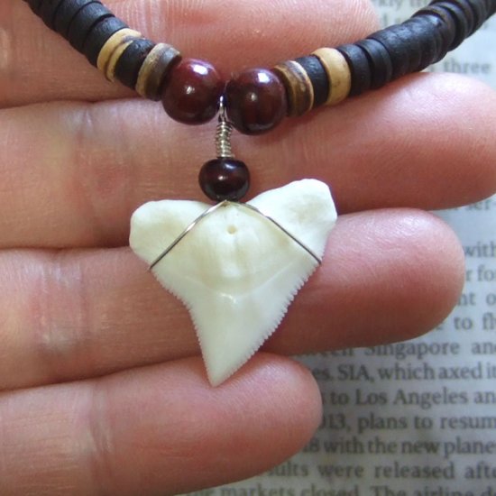 オオメジロザメの歯（上・大）　ビーズチョーカー（長） - 20720zhb