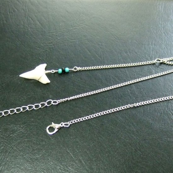 ブル・シャーク（オオメジロザメ）の歯 チェーンネックレス - 20724zhc