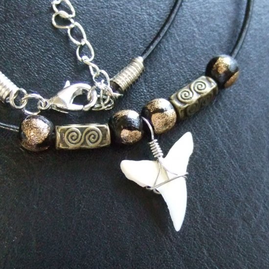 【表示現品】オオメジロザメの歯（下）　チョーカー - 20745zhb