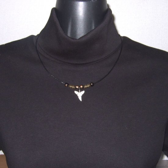 【表示現品】オオメジロザメの歯（下）　チョーカー - 20745zhb