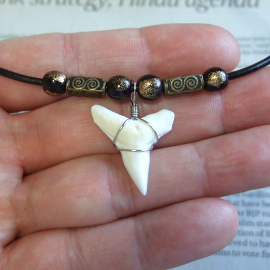 【表示現品】オオメジロザメの歯（下）　チョーカー - 20747zhb