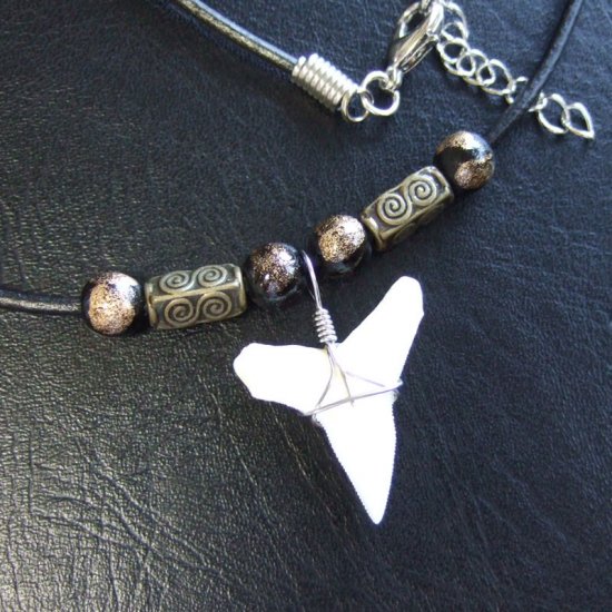 【表示現品】オオメジロザメの歯（下）　チョーカー - 20747zhb