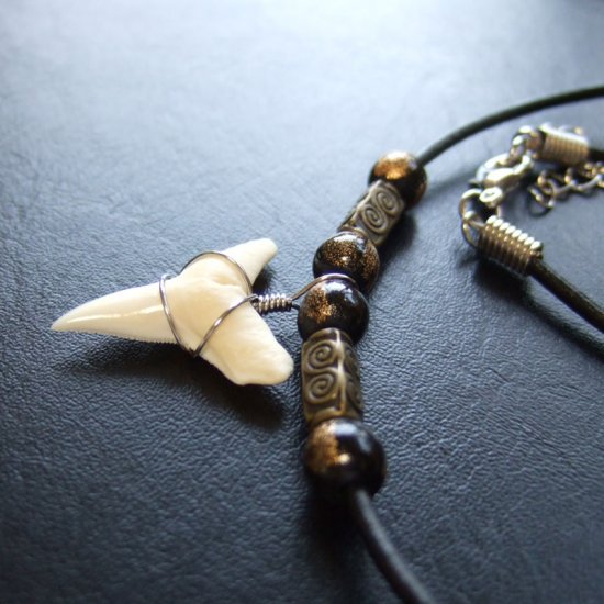 【表示現品】オオメジロザメの歯（下）　チョーカー - 20747zhb