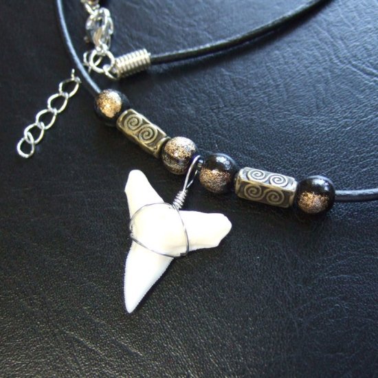 【表示現品】オオメジロザメの歯（下）　チョーカー - 20747zhb