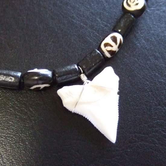 【訳あり現品】オオメジロザメの歯（上あご）ネックレス - 20750zhb