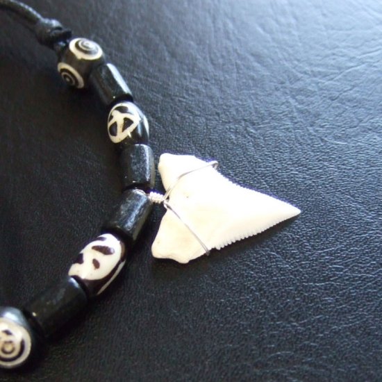 【訳あり現品】オオメジロザメの歯（上あご）ネックレス - 20750zhb