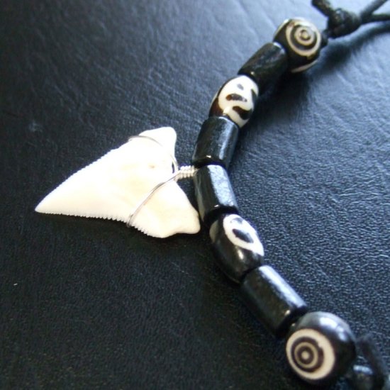 【訳あり現品】オオメジロザメの歯（上あご）ネックレス - 20750zhb