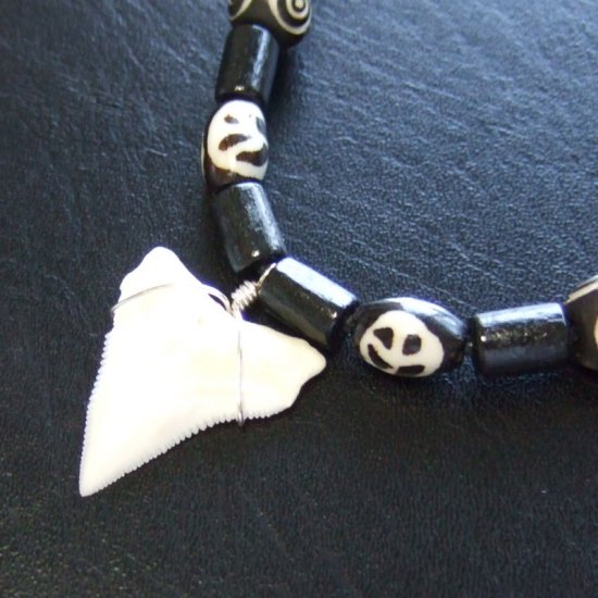 【訳あり現品】オオメジロザメの歯（上あご）ネックレス - 20750zhb