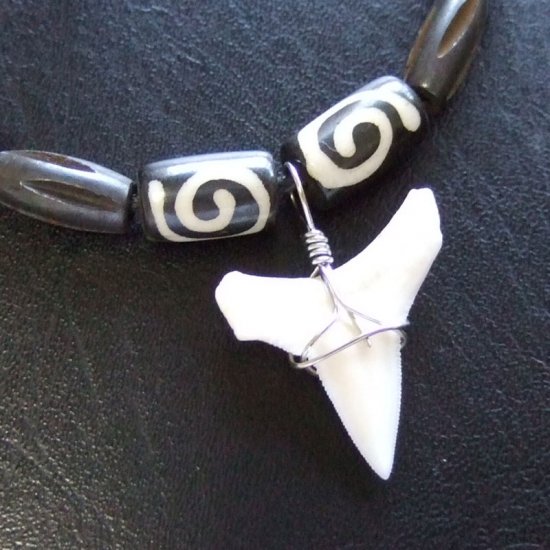 【表示現品】オオメジロザメの歯（下あご）ネックレス - 20753zhb