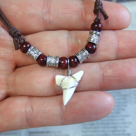 【表示現品】アオザメの歯ネックレス - 20754zhb