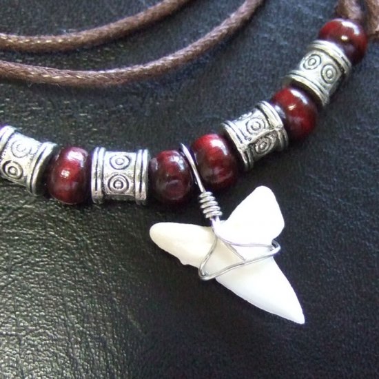 【表示現品】アオザメの歯ネックレス - 20754zhb