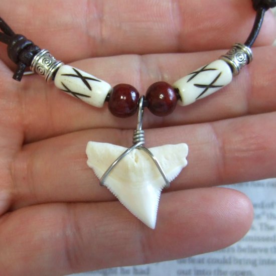 【表示現品】オオメジロザメの歯（上あご）ネックレス - 20755zhb