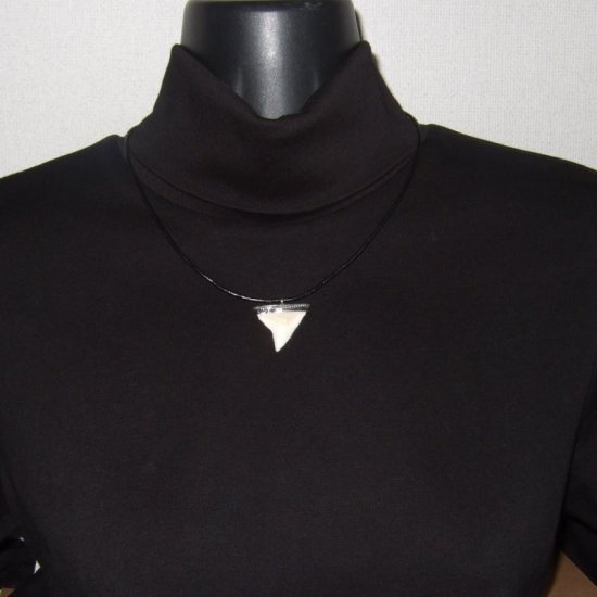 【表示現品】オオメジロザメの歯 メタルキャップチョーカー - 20763zhb