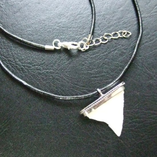 【表示現品】オオメジロザメの歯 メタルキャップチョーカー - 20763zhb