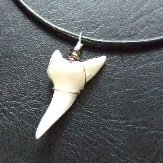 【表示現品】アオザメの歯（約3.1cm）ペンダント - 20764zhb
