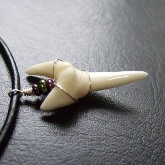 【表示現品】アオザメの歯（約3.1cm）ペンダント - 20764zhb