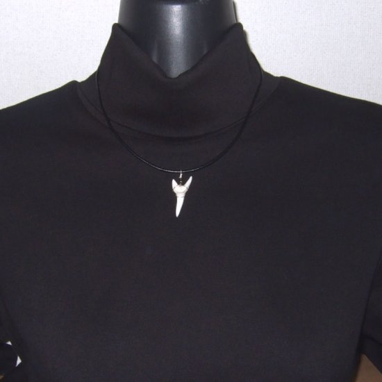 【表示現品】アオザメの歯（約3.1cm）ペンダント - 20764zhb