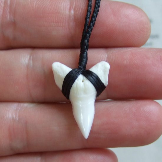【表示現品】本物のサメの歯（ブル・シャーク）ネックレス - 20772zhb