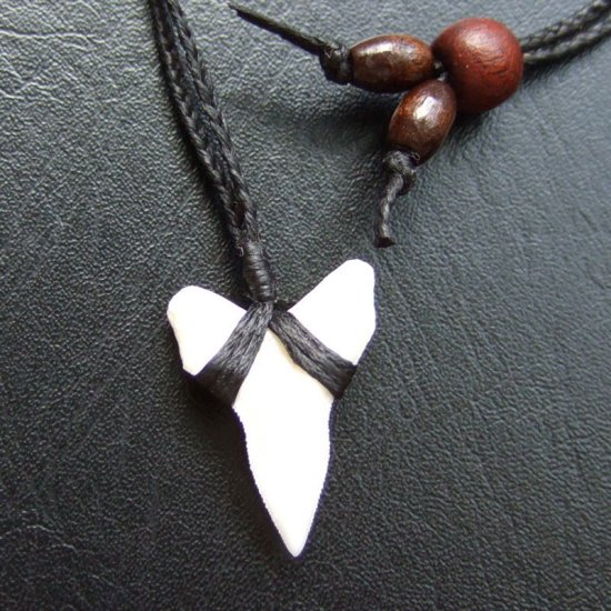 【表示現品】本物のサメの歯（ブル・シャーク）ネックレス - 20772zhb