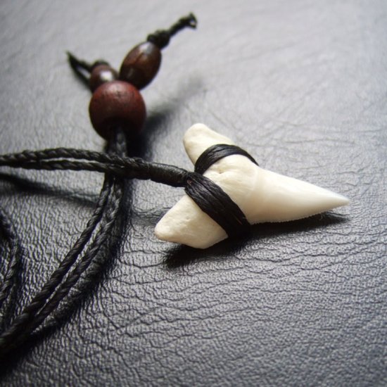 【表示現品】本物のサメの歯（ブル・シャーク）ネックレス - 20772zhb