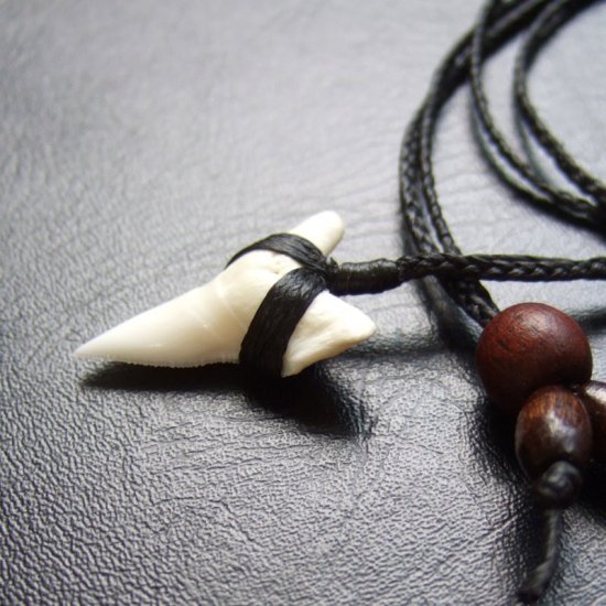 【表示現品】本物のサメの歯（ブル・シャーク）ネックレス - 20772zhb