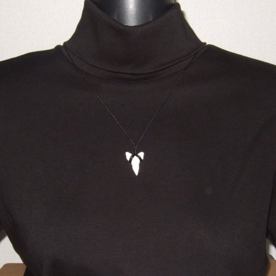 【表示現品】本物のサメの歯（ブル・シャーク）ネックレス - 20772zhb