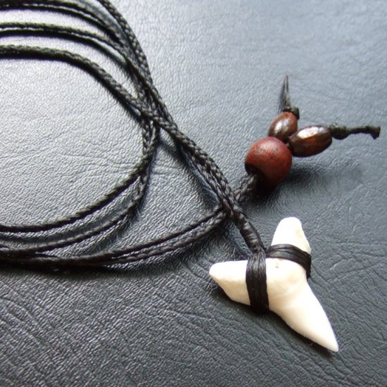 【表示現品】本物のサメの歯（ブル・シャーク）ネックレス - 20772zhb