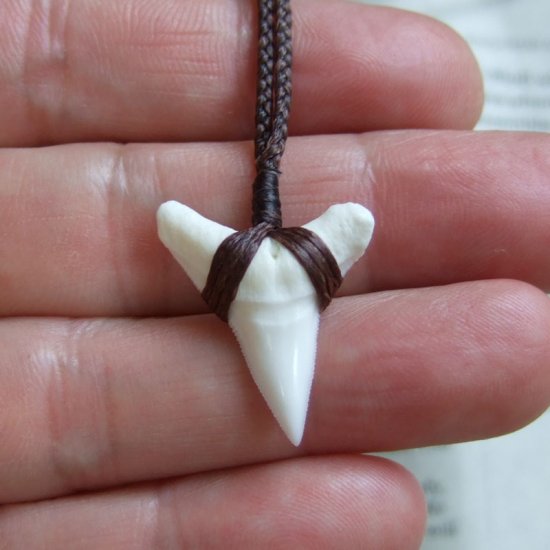 【表示現品】本物のサメの歯（ブル・シャーク）ネックレス - 20773zhb